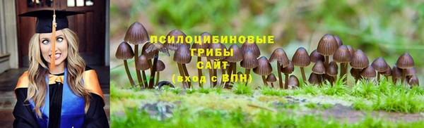 эйфоретик Абаза