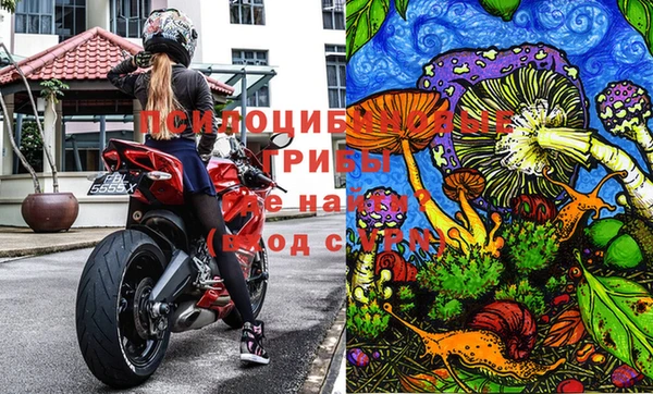 эйфоретик Абаза
